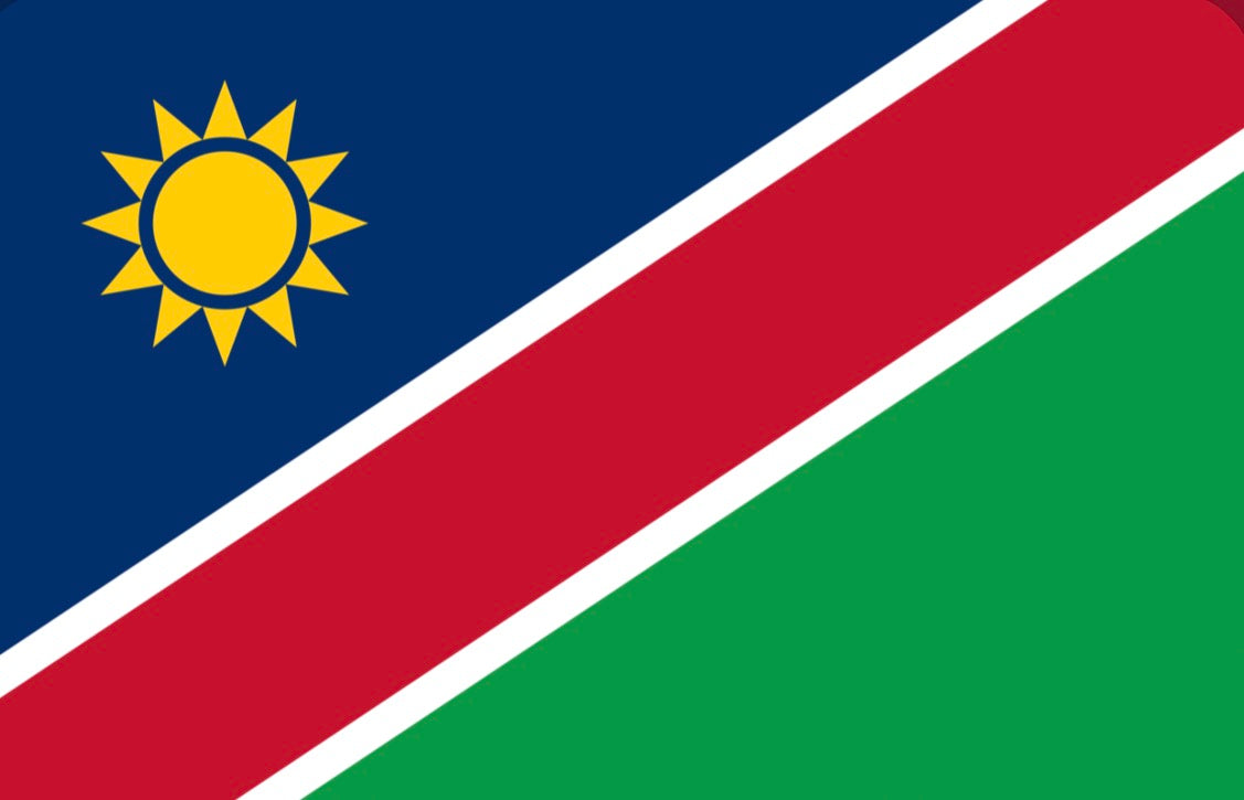NAMIBIA Crop top