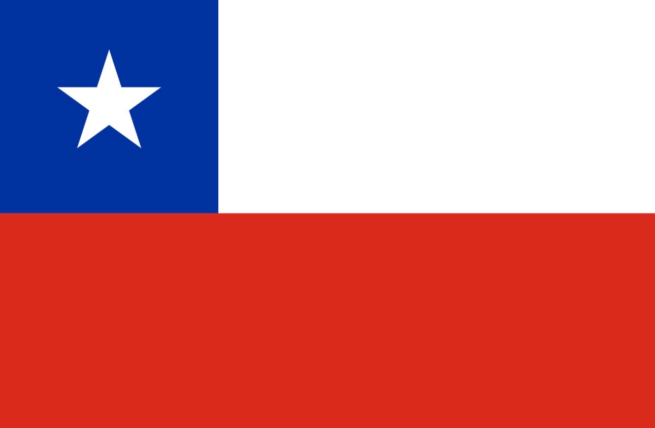CHILE Crop Top