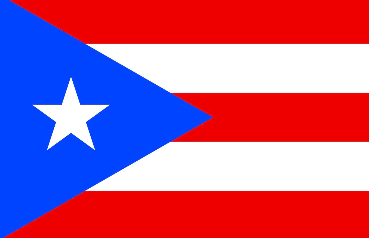 PUERTO RICO Crop Top