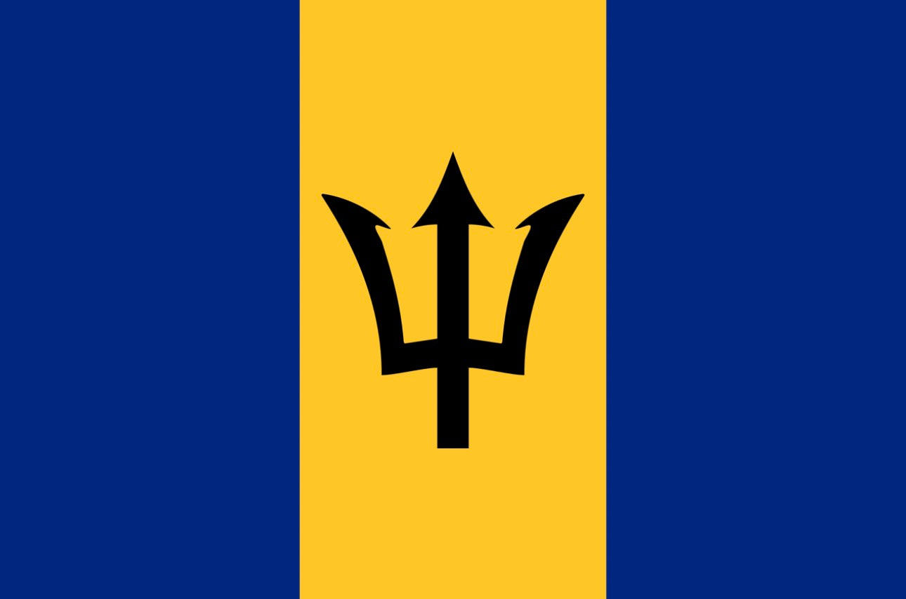 BARBADOS Crop Top