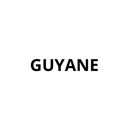 GUYANE Crop Top